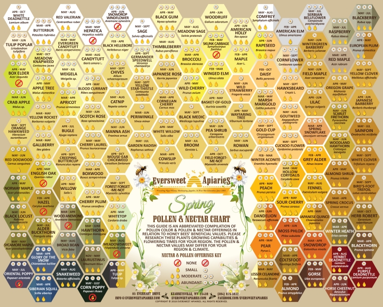Bee Pollen Color Chart