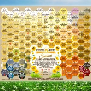 Pollen And Nectar Chart