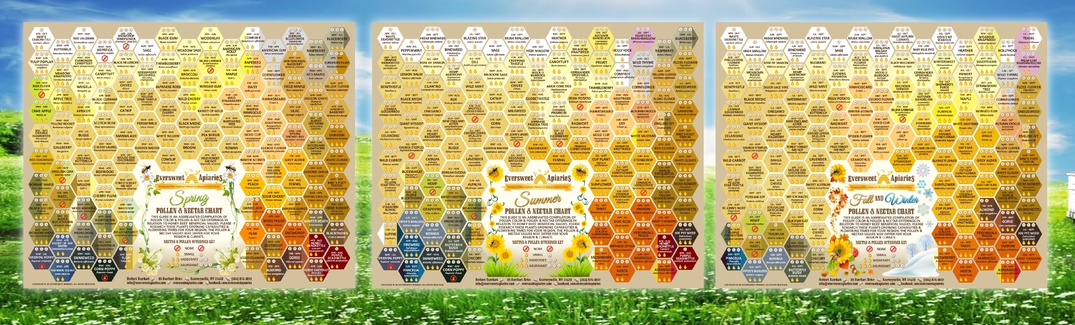 Bee Pollen Color Chart