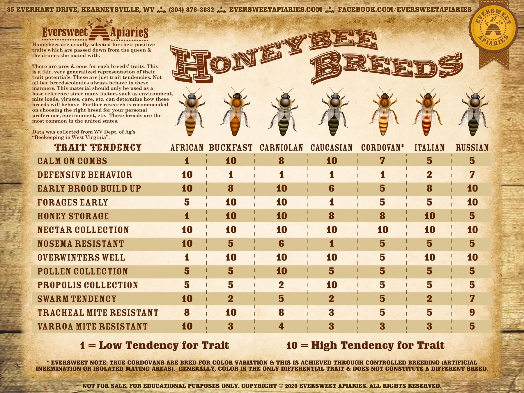 Honeybee breeds
